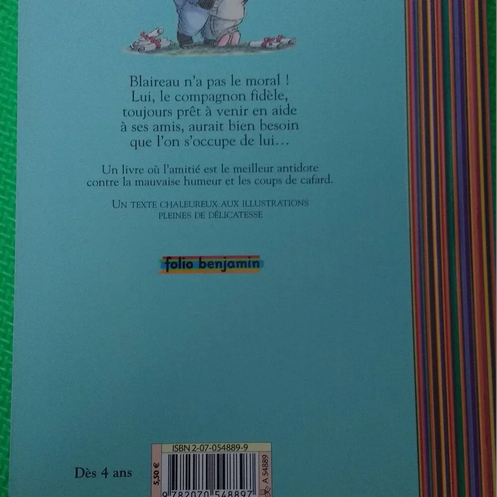 Blaireau a des Soucis by Hiawyn Oram 1997 French New Paperback